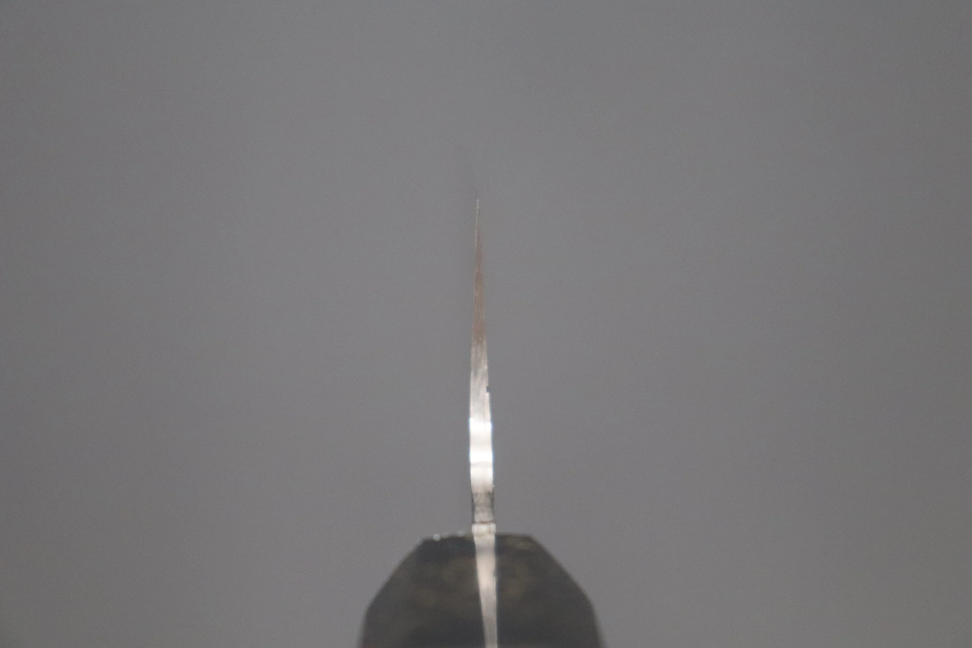Custom Limited Edition, Sukenari ZDP-189 Clad Kiritsuke Slicer 270mm (10.6 inch, SCL-339)