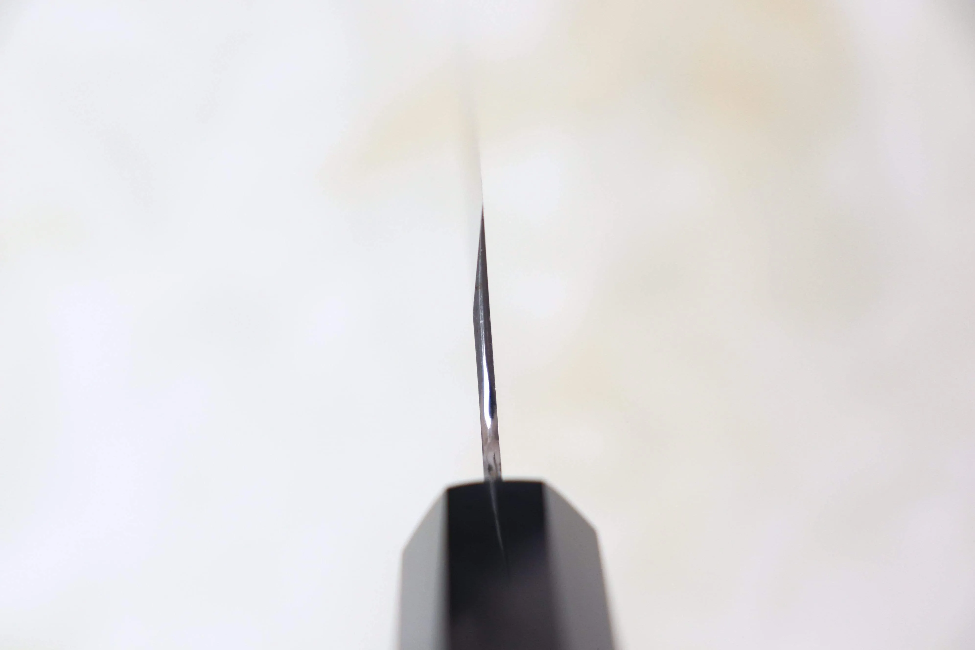 Fu-Rin-Ka-Zan Pure Sweden Stainless Steel Wa Series FS-10 Kamagata-Mukimono 195mm  (Single Bevel Edge)