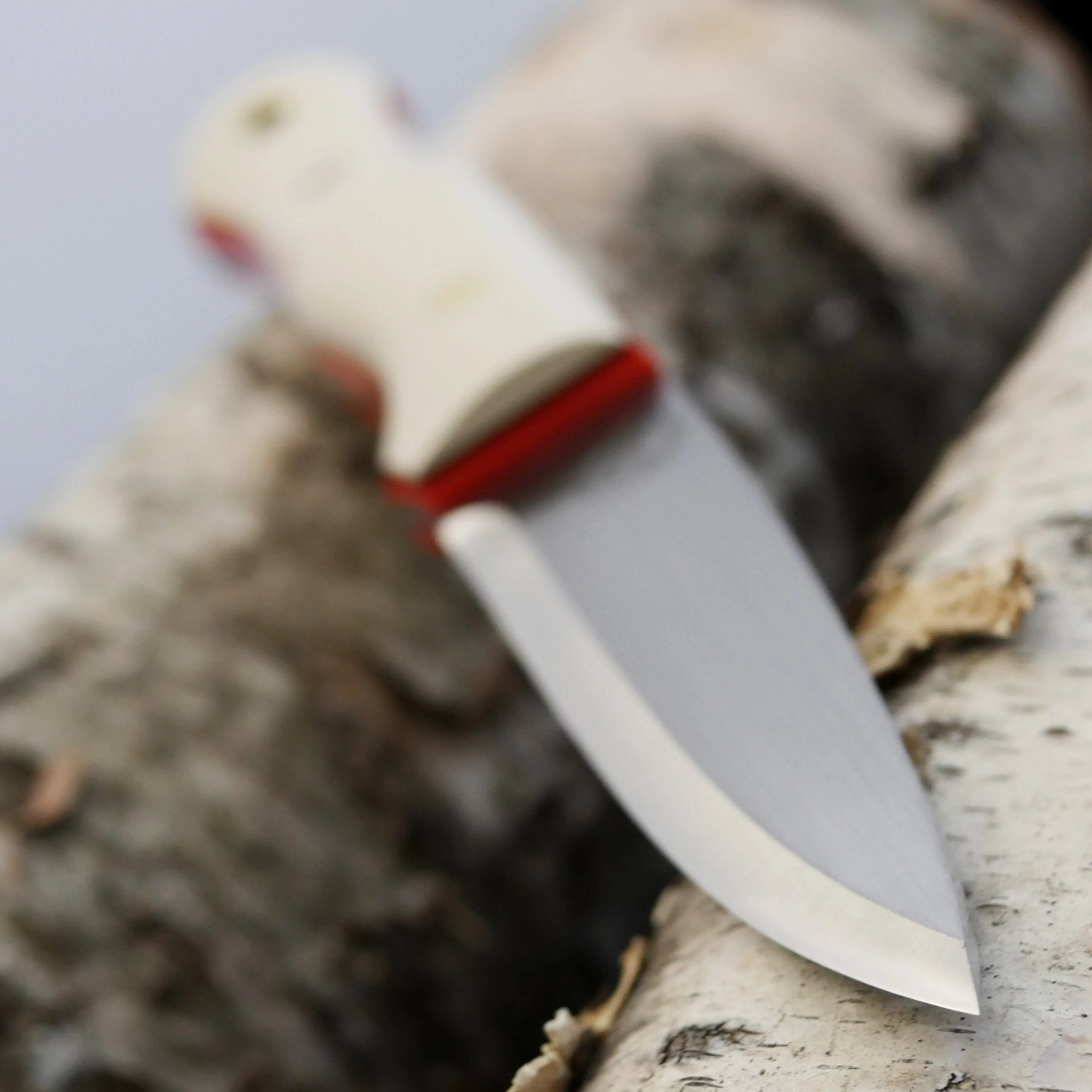 Mountaineer: Ivory Paper, Hunter Orange & Brown