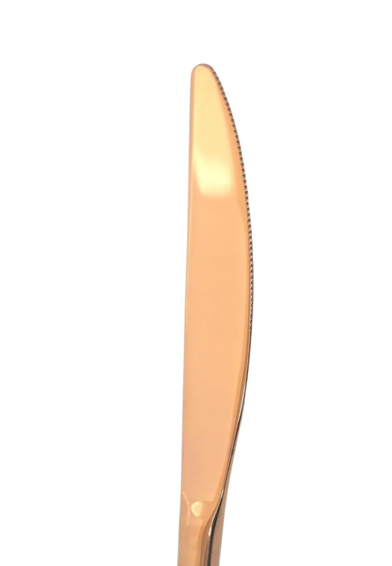 Slique 4piece Dinner Knife